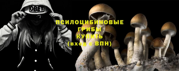 дурь Беломорск
